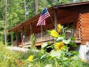 Ocoee cabin rentals with Mountain Escapes.