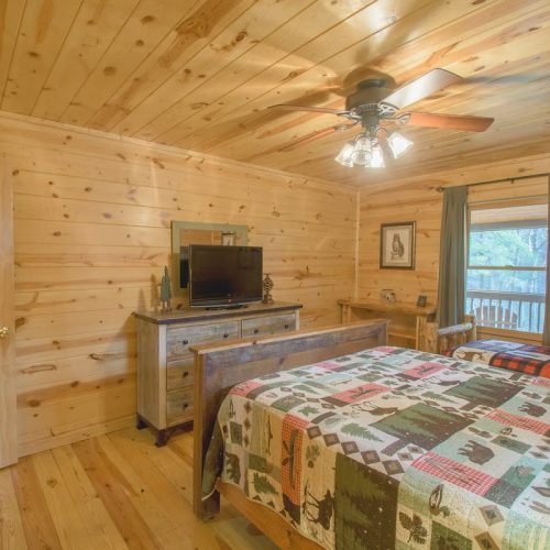 imgi_103_3a937951-44f5-4181-bc60-a65345ad8a56