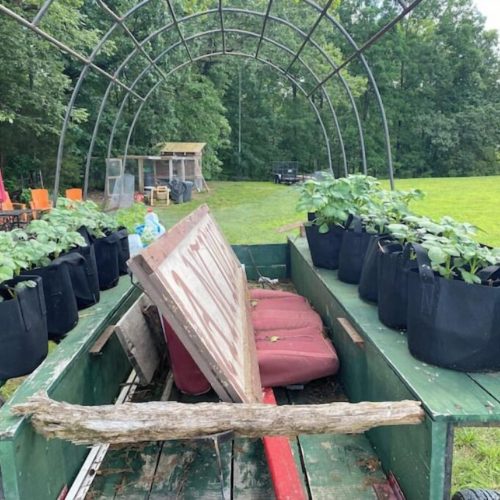 imgi_111_w905h683x60y0-c4544bb9