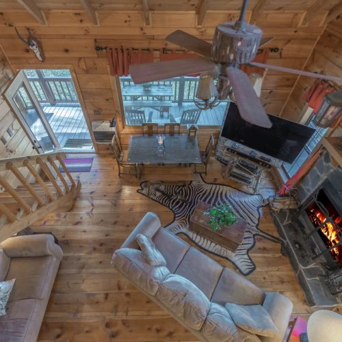 imgi_17_8348c3f0-384f-40f5-a1f4-a5af3fdddff2