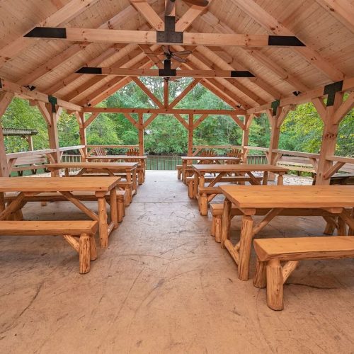 imgi_247_1650c763-c099-4ddb-b4e2-7268b8f42b97