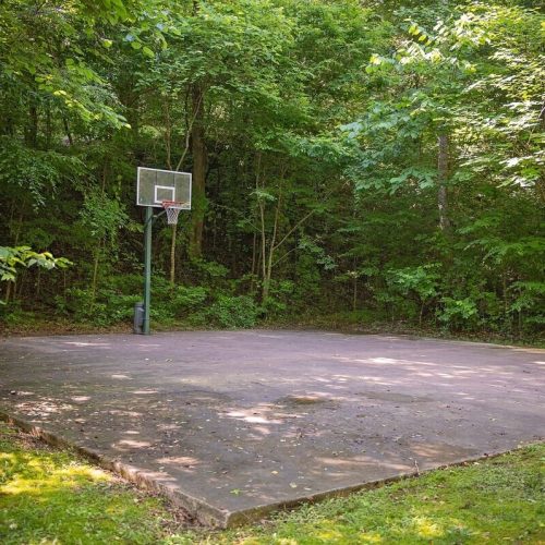 imgi_251_9840735c-81a7-4f9d-b837-a23f6c6c8588