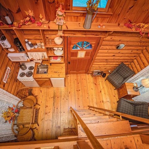 imgi_49_image_165812494