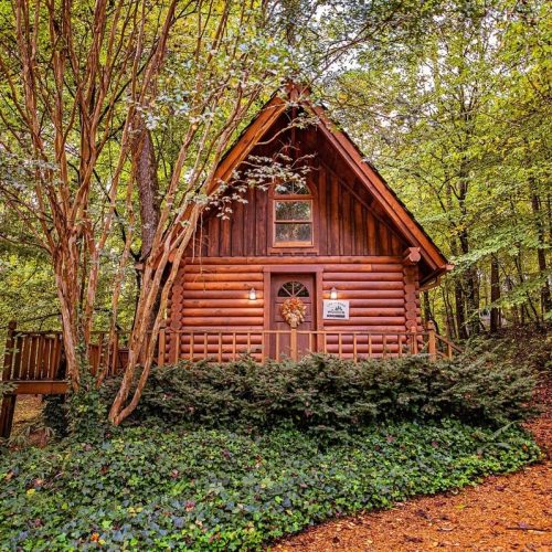 imgi_60_image_165812505