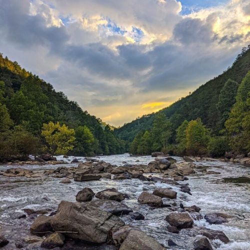 imgi_81_image_165812527