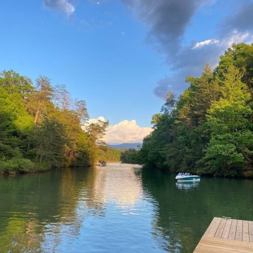 imgi_81_image_165812592