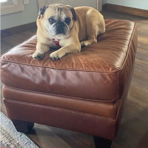 imgi_96_w510h683x255y0-d61df47e